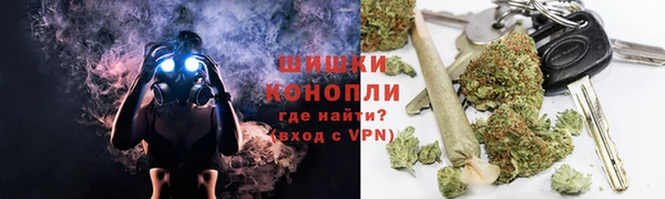 гашик Богданович