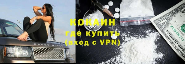 гашик Богданович