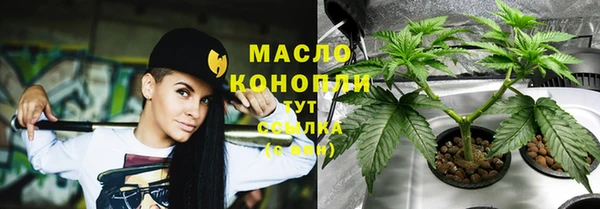 гашик Богданович